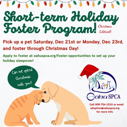 Oahu SPCA Thanksgiving Short Term Foster