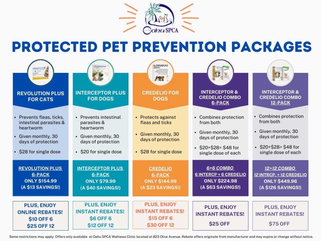 Keep Pets Healthy & Save With Parasite Prevention Packages from Oahu SPCA