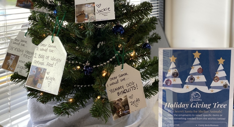 Holiday Giving Trees- Be A Secret Santa for Shelter Pets!